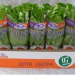 Агрокомбинат «Московский»